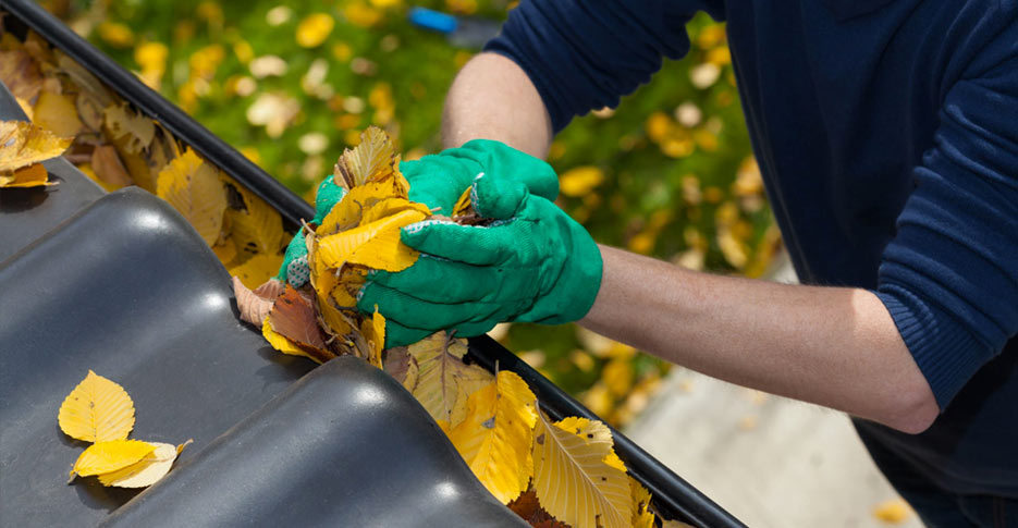 Steel Roof Maintenance and Cleaning